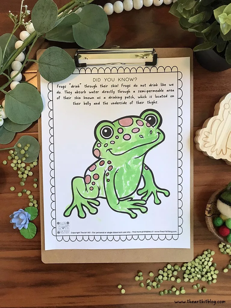 Frog coloring page with fun fact they drink through their skin â free printable â the art kit