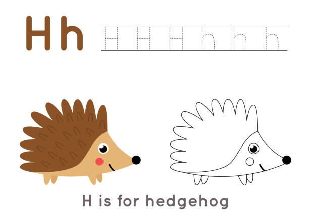 Coloring and tracing page with letter h and cute cartoon hedgehog stock illustration
