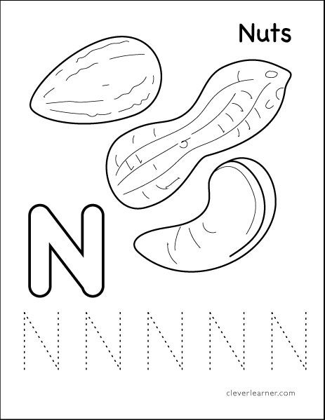 N is for nuts tracing activity sheets letter n worksheet tracing worksheets preschool preschool worksheets