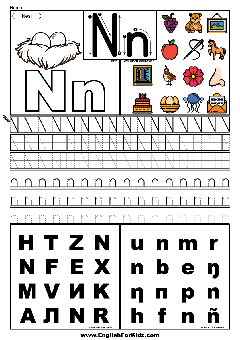 English for kids step by step letter n worksheets flash cards coloring pages