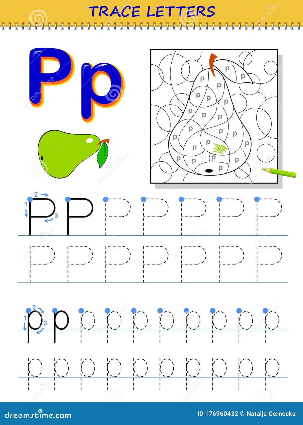 Tracing letter p for study alphabet printable worksheet for kids education page for coloring book stock vector