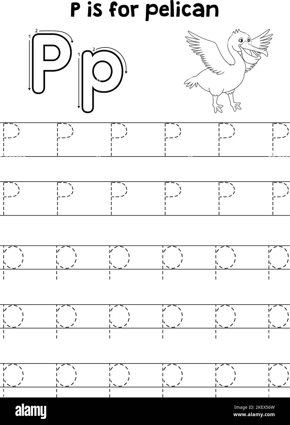 Letter p tracing black and white stock photos images