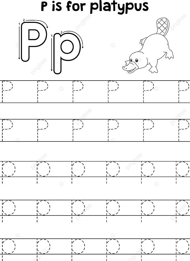 Platypus animal tracing letter abc coloring p beak design sheet vector beak design sheet png and vector with transparent background for free download