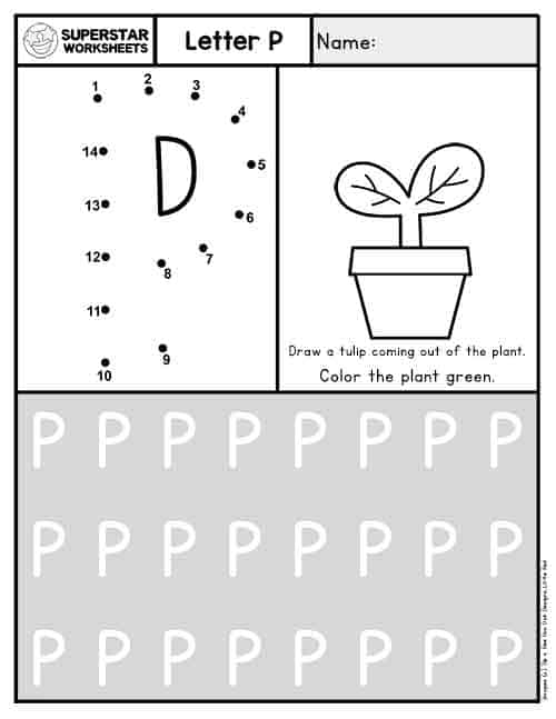 Letter p worksheet