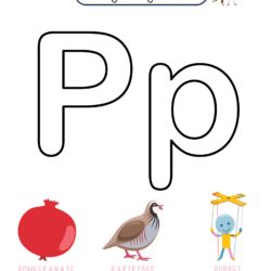 Letter p reading writing and activity worksheets