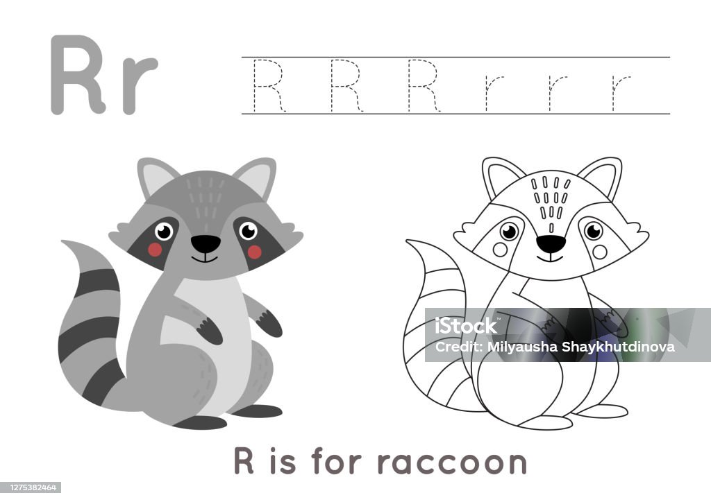 Coloring and tracing page with letter r and cute cartoon raccoon stock illustration