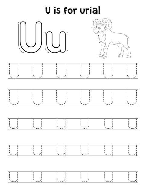 Premium vector urial animal tracing letter abc coloring page u