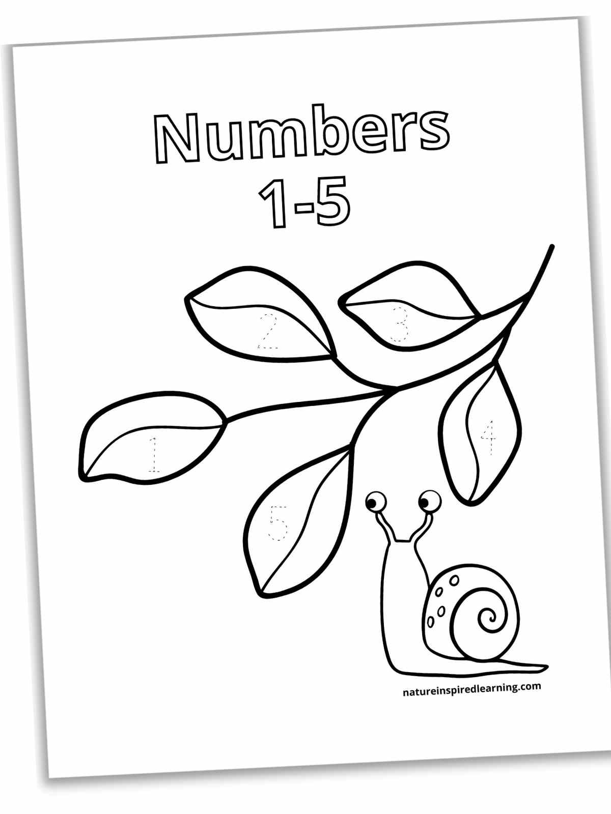 Tracing numbers