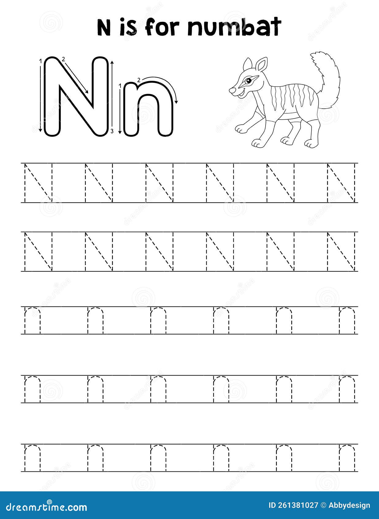 Numbat animal tracing letter abc coloring page n stock vector