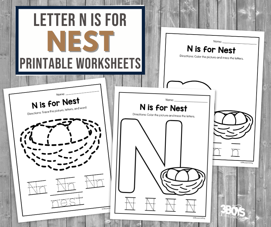 N is for nest worksheet