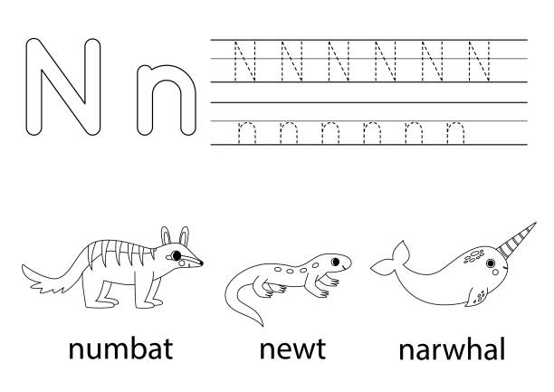 Many words begin with letter n stock illustrations royalty