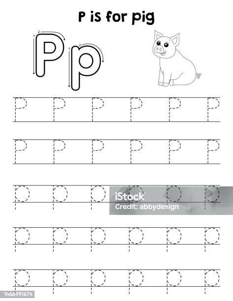Pig animal tracing letter abc coloring page p stock illustration