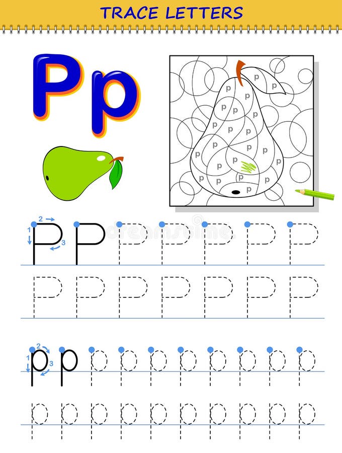 Tracing letter p for study alphabet printable worksheet for kids education page for coloring book stock vector