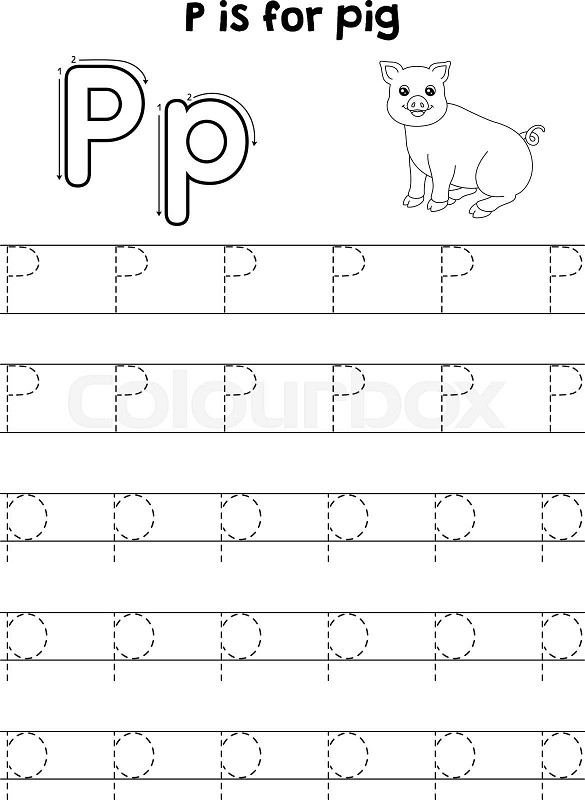 Pig animal tracing letter abc coloring page p stock vector