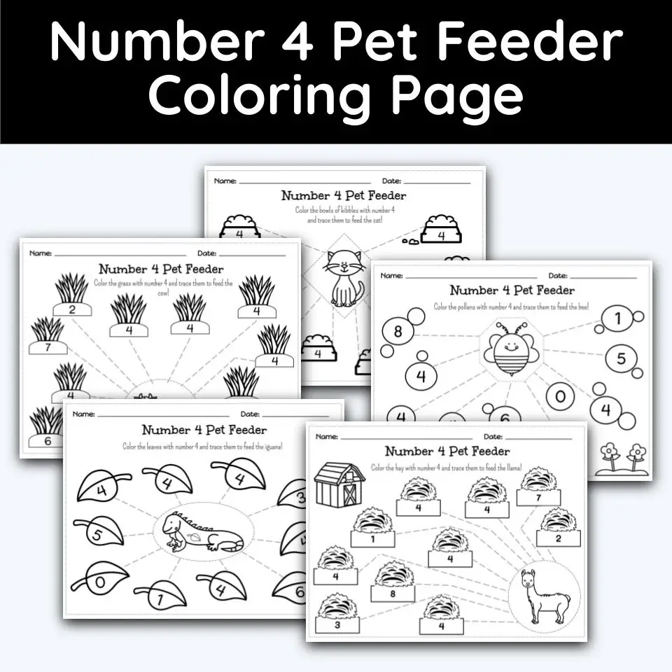 Number pet feeder coloring page