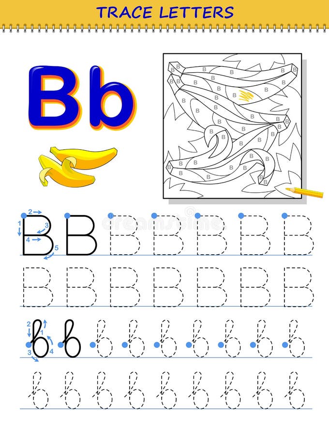 Tracing letter b for study alphabet printable worksheet for kids education page for coloring book stock vector