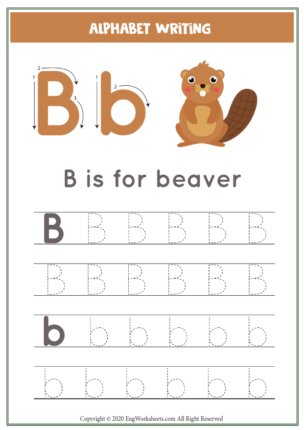 Letter b alphabet tracing worksheet with animal illustration