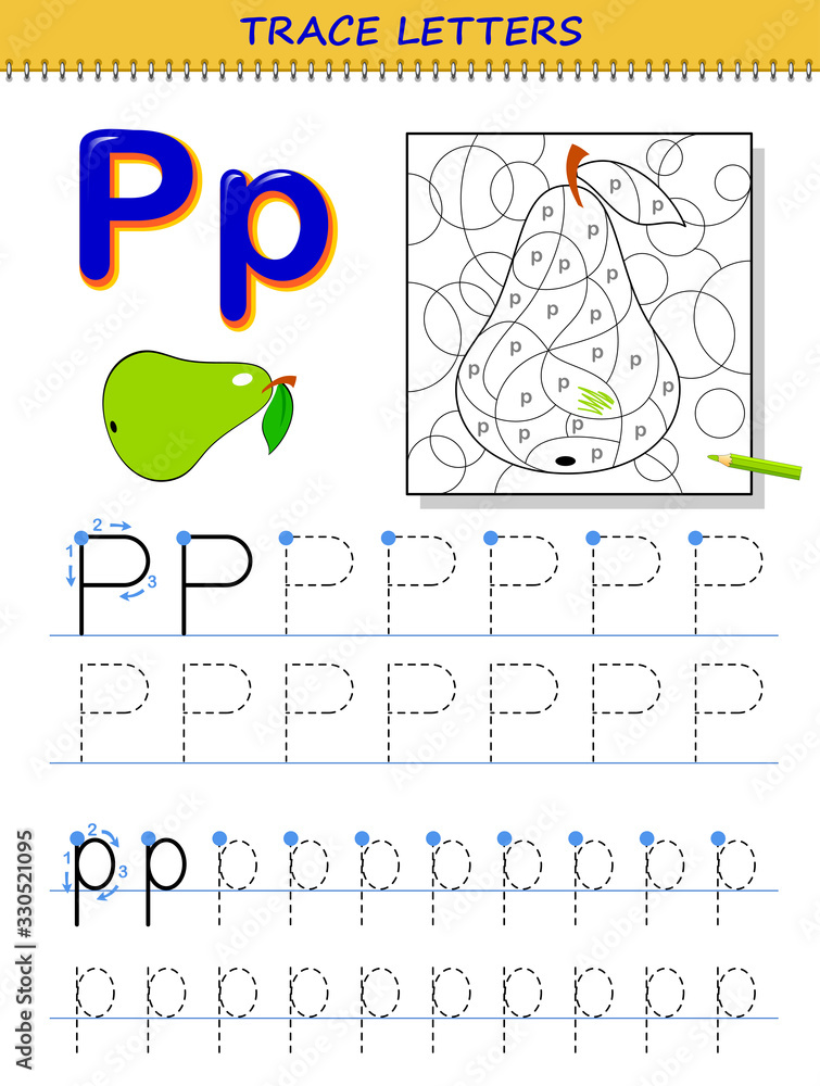 Tracing letter p for study alphabet printable worksheet for kids education page for coloring book developing children skills for writing and tracing abc vector cartoon image for school textbook vector