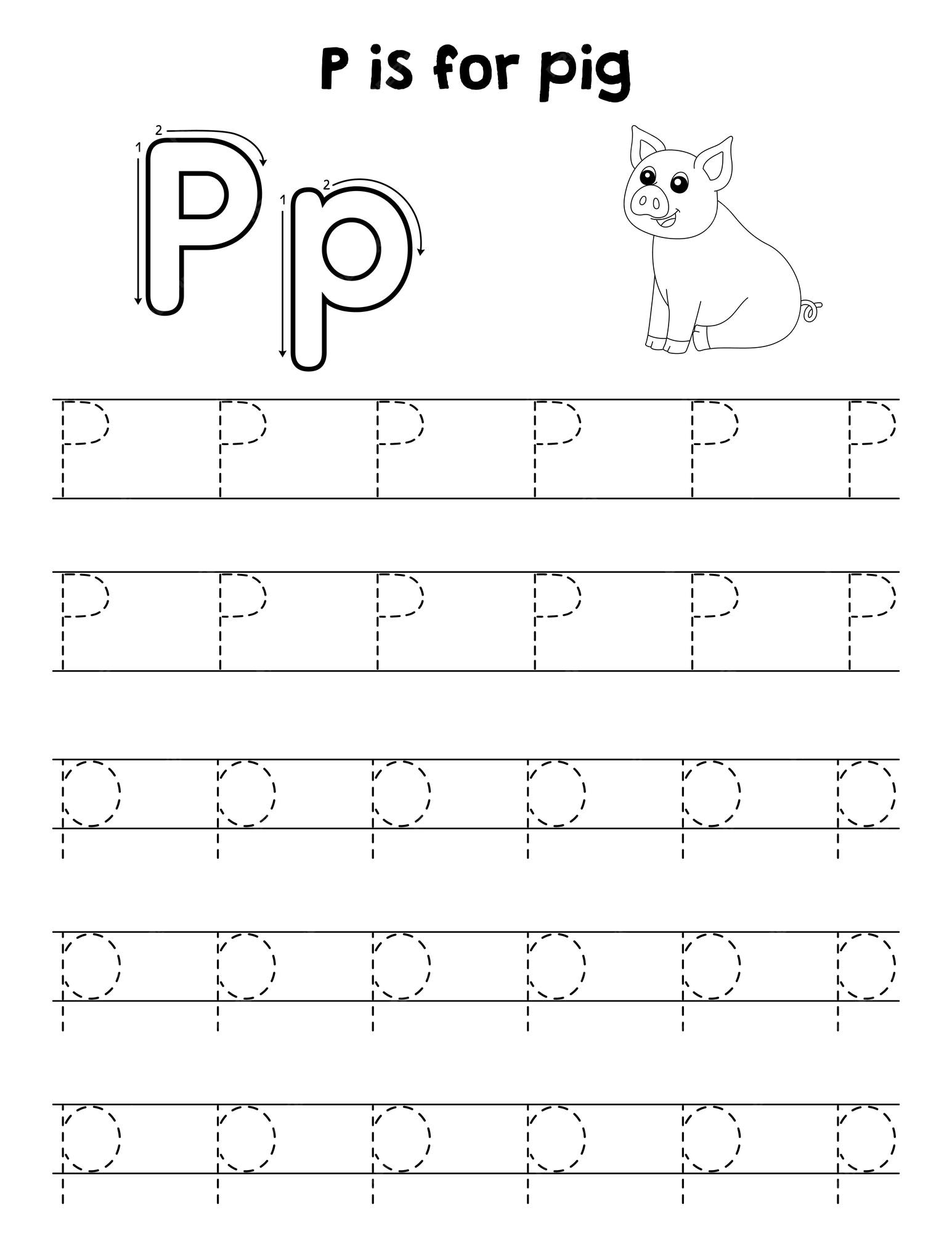 Premium vector pig animal tracing letter abc coloring page p