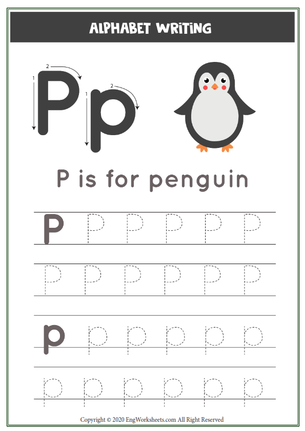 Letter p alphabet tracing worksheet with animal illustration