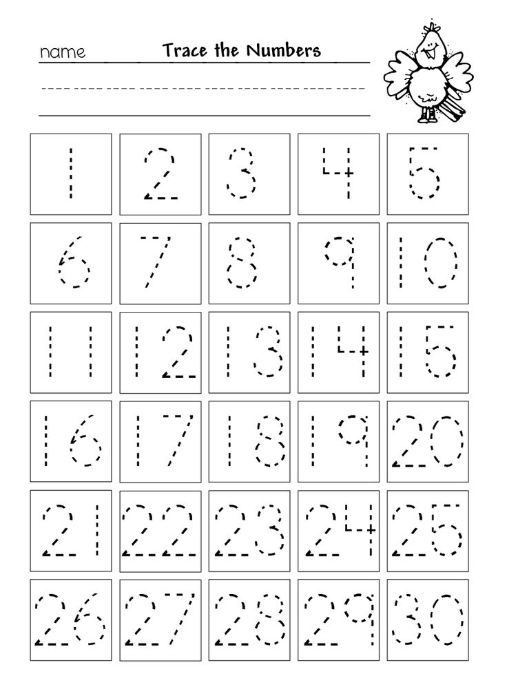 Number tracing