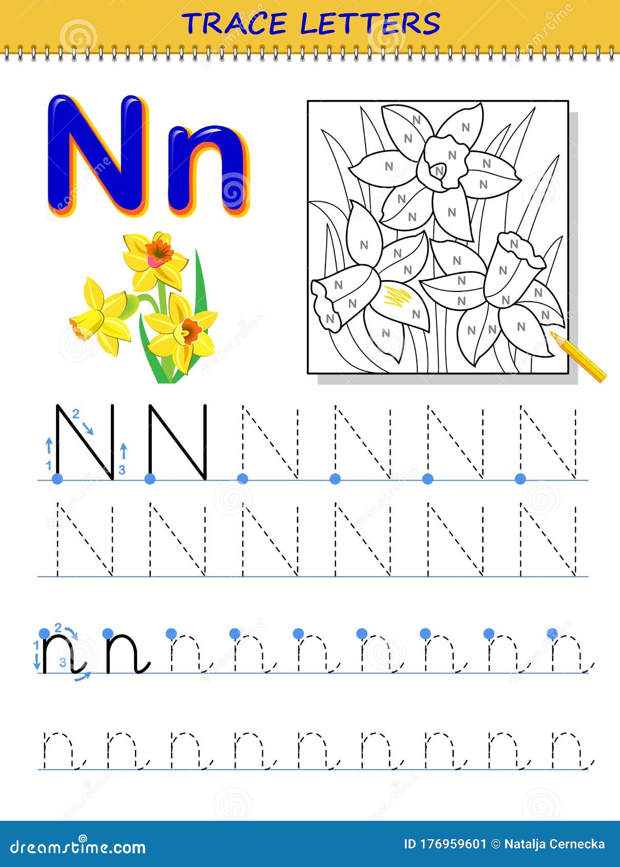 Tracing letter n for study alphabet printable worksheet for kids education page for coloring book stock vector