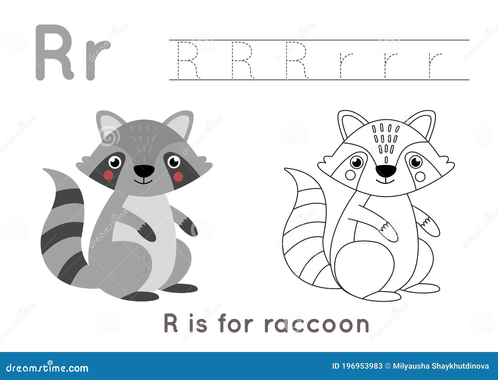 Coloring and tracing page with letter r and cute cartoon raccoon stock vector