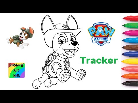 Paw patrol tracker coloring page video