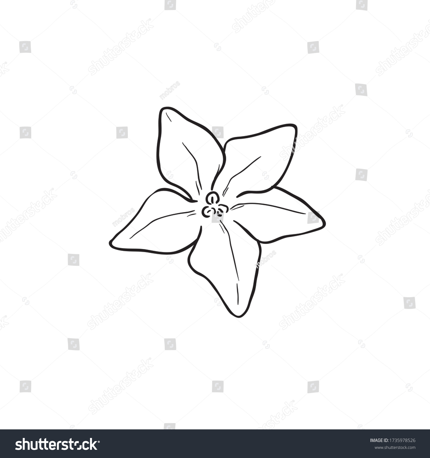 Black line art mayflower trailing arbutus stock vector royalty free