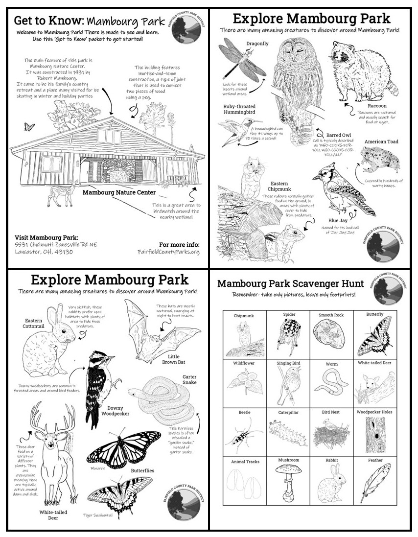 Nature connection â fairfield county park district