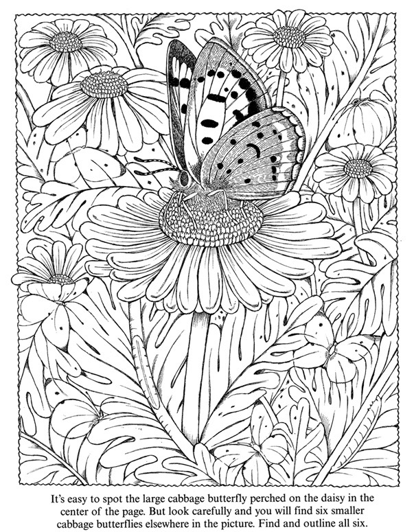 Printable coloring pages flower coloring pages butterfly coloring page coloring pages