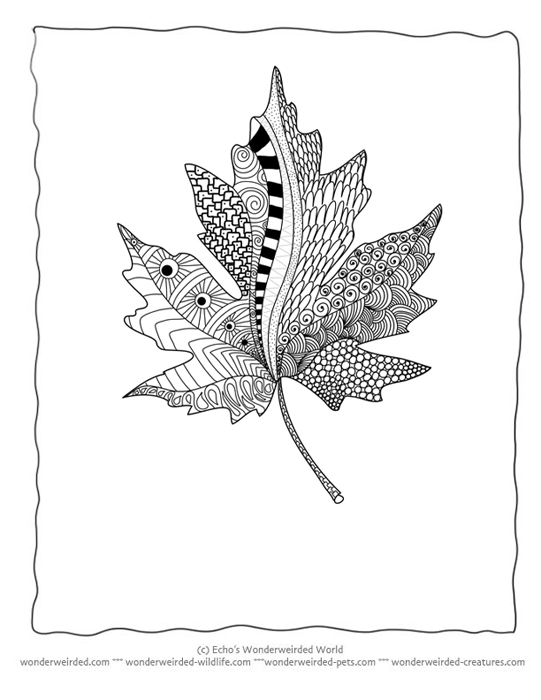 Free printable zentangle coloring pages leaf leaf coloring page coloring pages leaf drawing