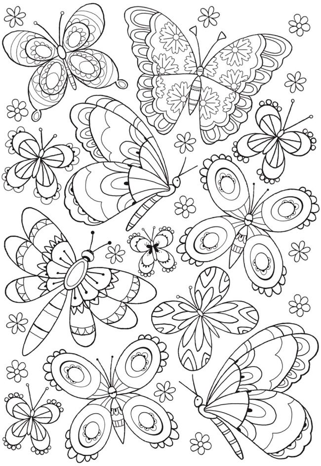 Wele to dover publications borboletas para colorir livros de colorir para adultos desenhos para colorir flores