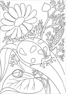 Our most popular coloring pages for adults