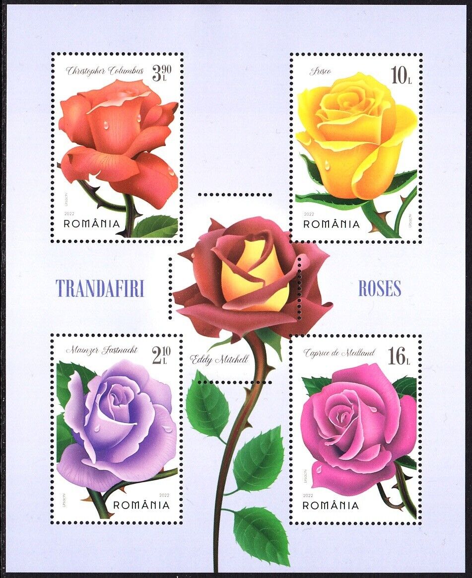 Romania flowers roses blumen fleurs