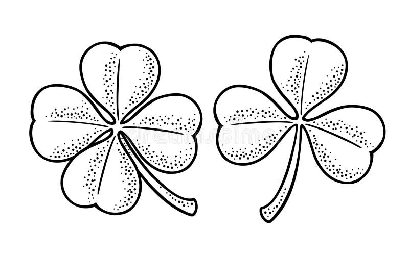 Good luck four and three leaf clover vintage vector engraving stock vector