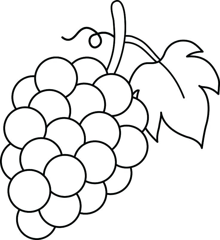 Grapes coloring pages