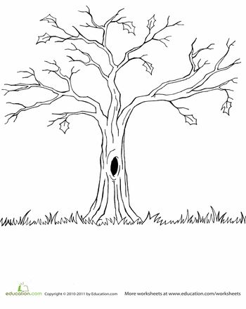 Bare tree worksheet education tree drawing tree coloring page tree art