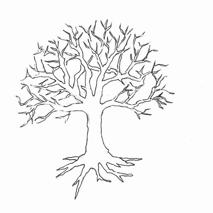 Coloring page of a tree without leaves