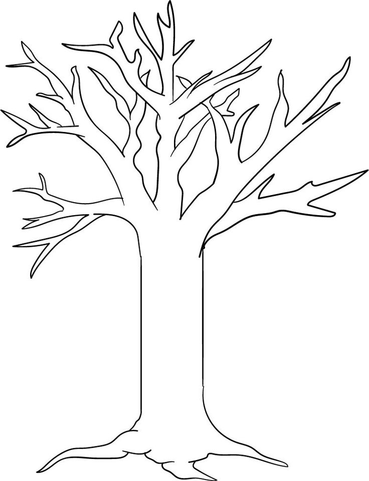 Printable tree template tree printable free tree coloring page tree outline