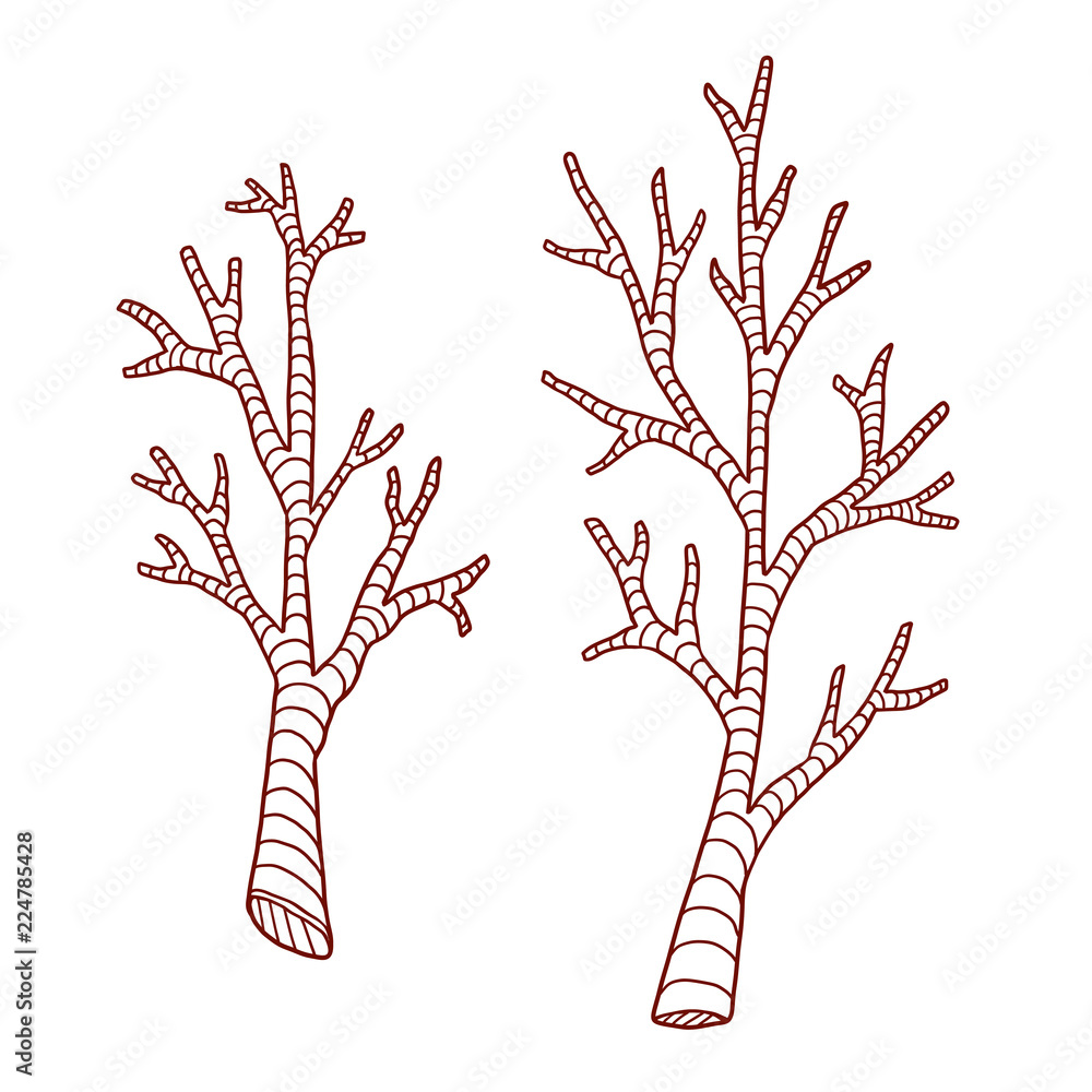 Tree branches line art hand drawn print sticker rustic design coloring book page vector