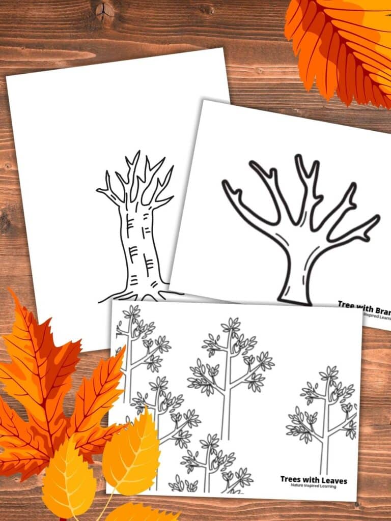 Printable fall tree coloring pages