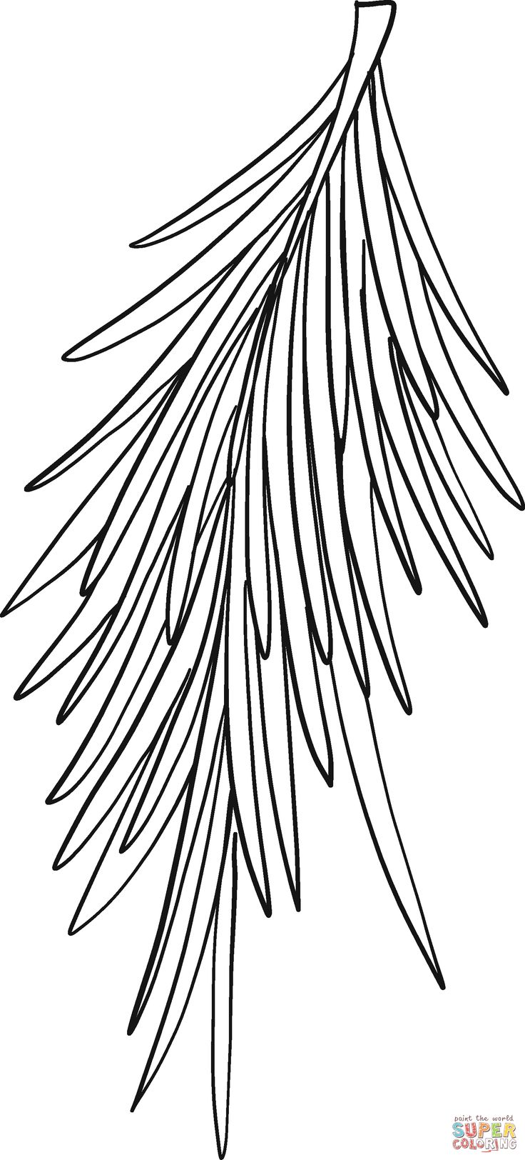 Evergreen tree branch coloring page free printable coloring pages tree line drawing tree branch art tree outline