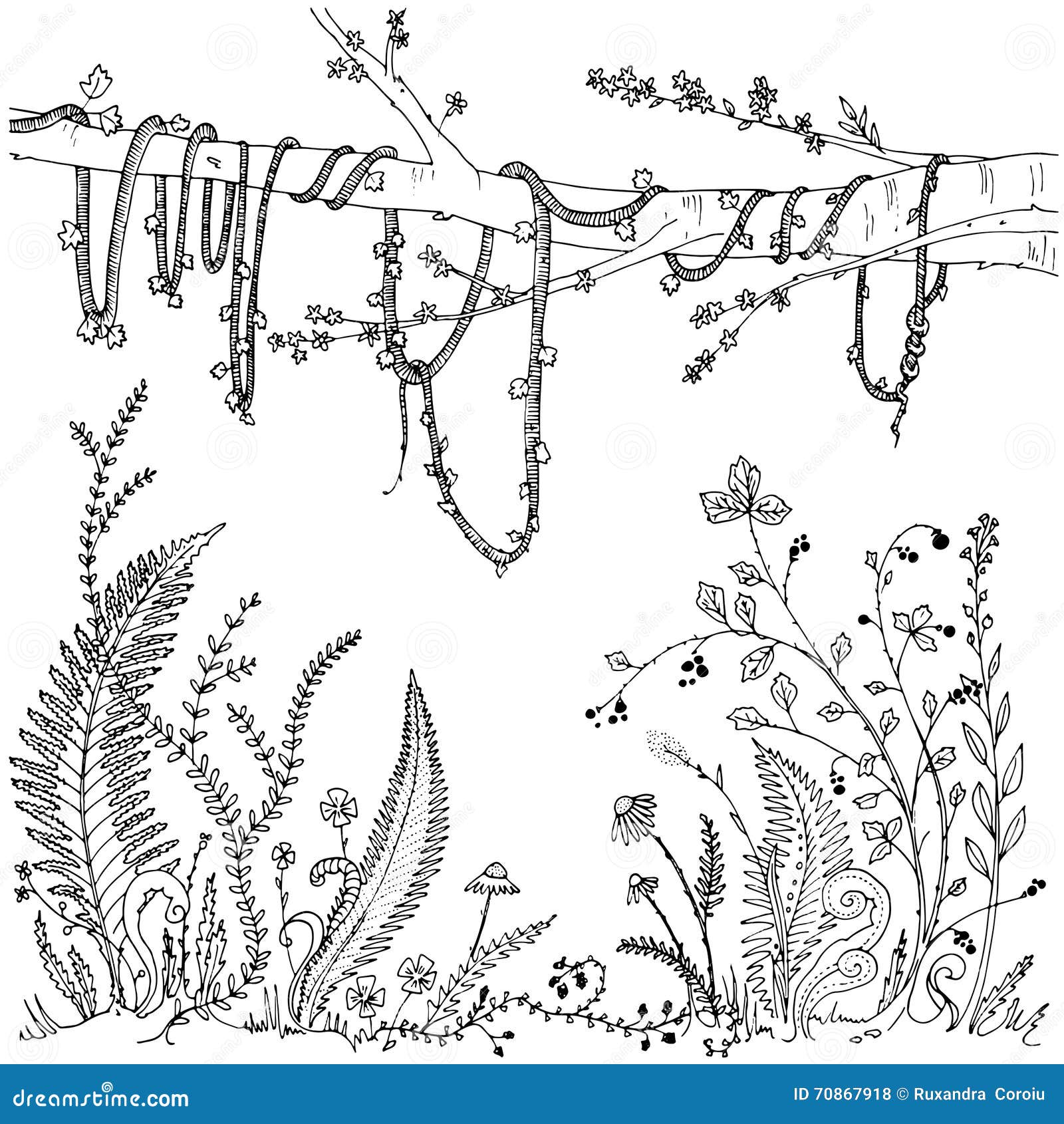 Ferns flowers vines and berries in a forest dense vegetation printable coloring page for adults anti