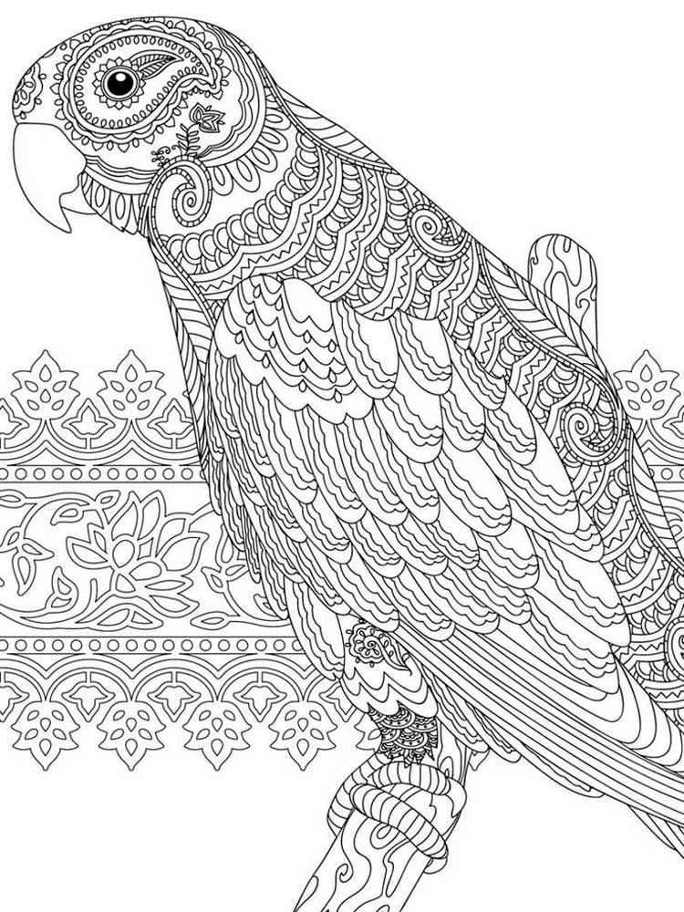 Unique parrot mandala on a tree branch coloring page