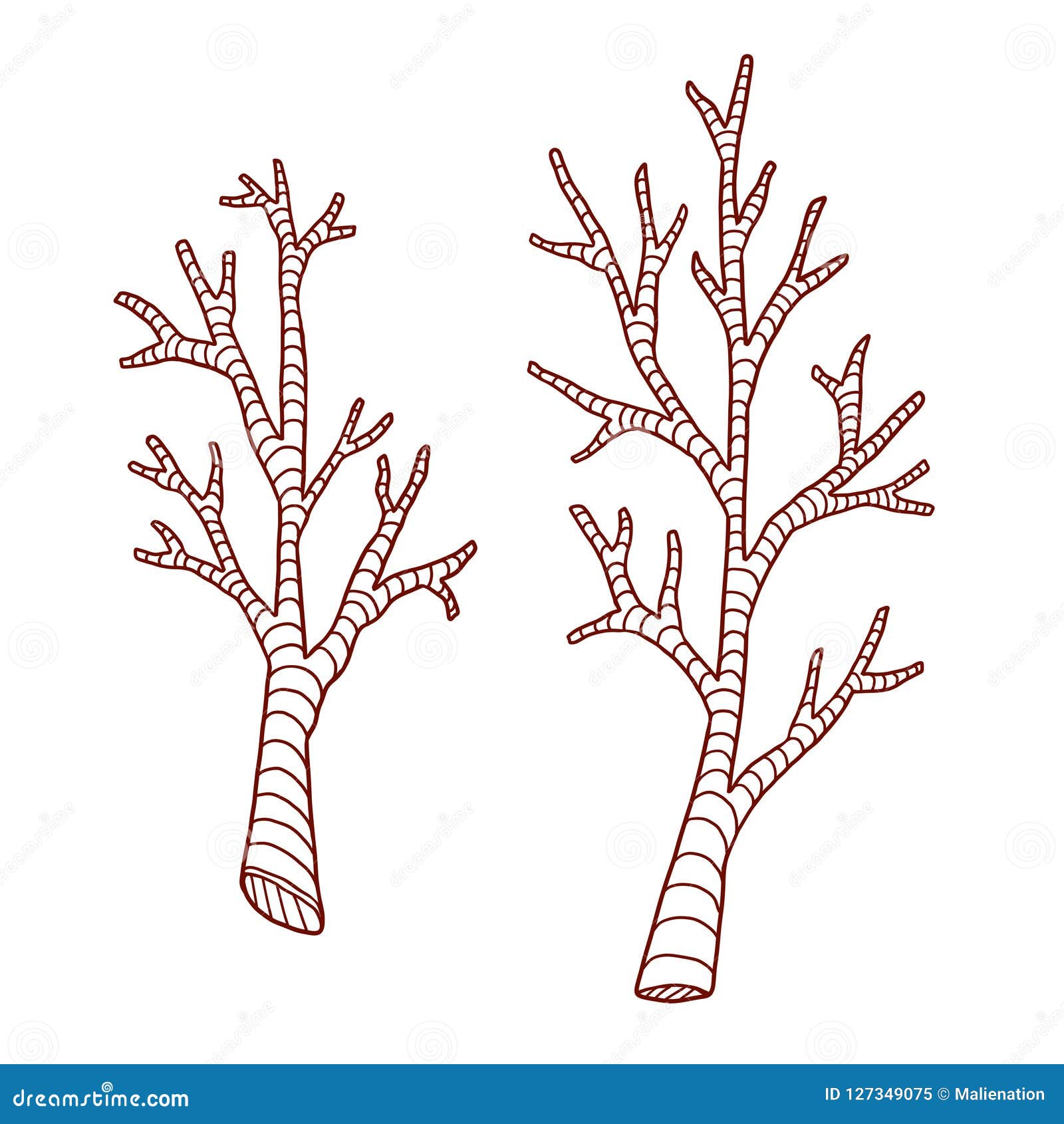 Tree branches coloring page stock illustrations â tree branches coloring page stock illustrations vectors clipart