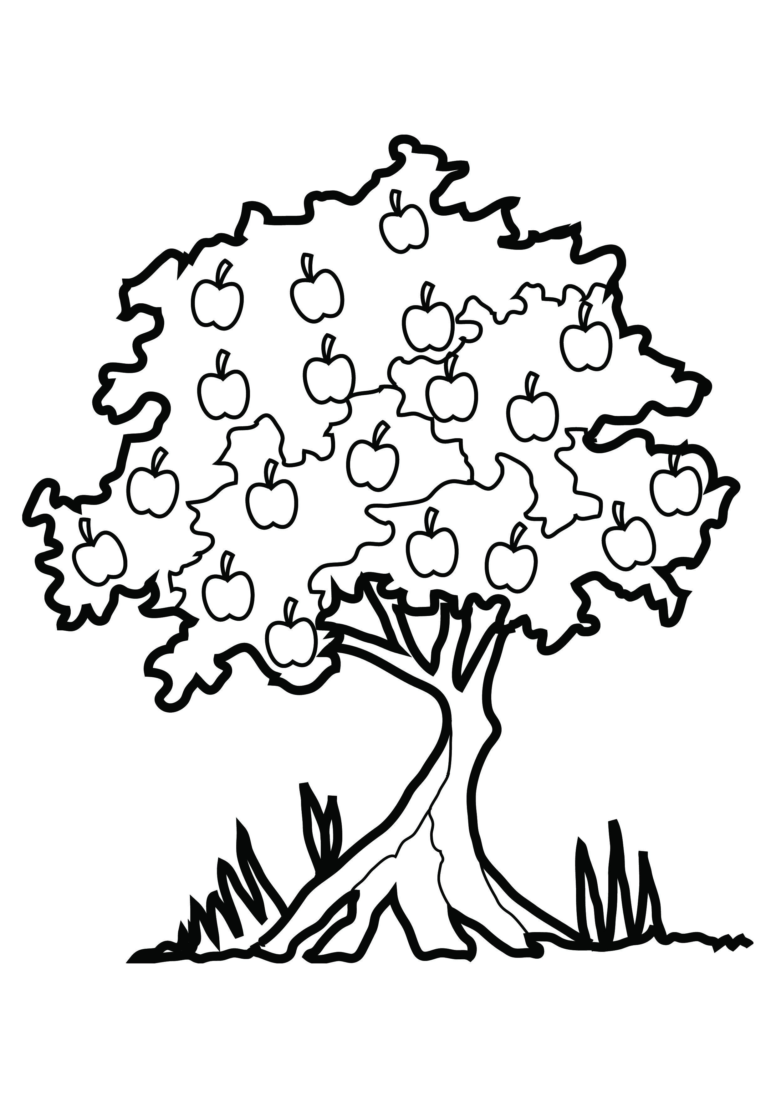 Free printable tree coloring pages for kids