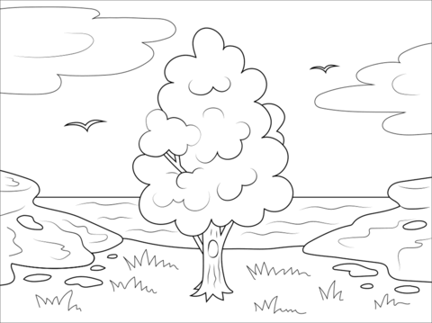 Tree and sea coloring page free printable coloring pages