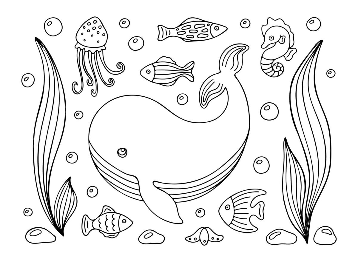 Coloring page with whalefishes and jellyfish sea background contour vector sea background contour png and vector with transparent background for free download