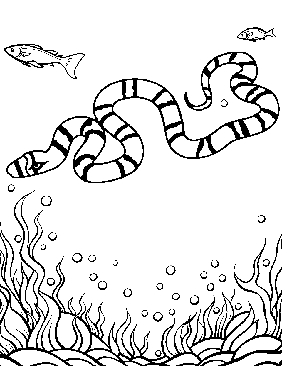 Snake coloring pages free printable sheets